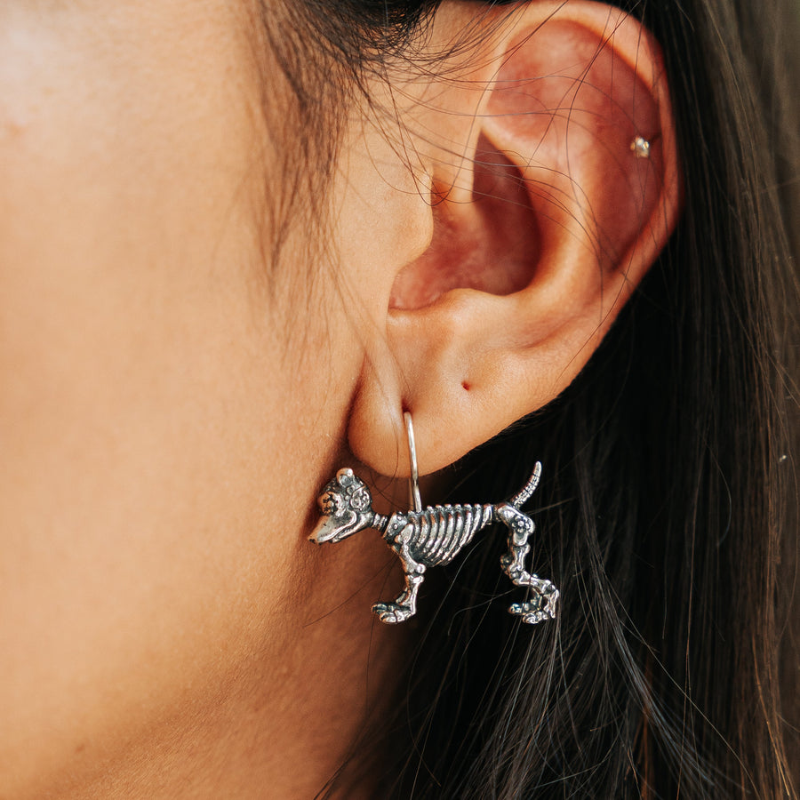 Aretes Xolo de Luz, joya de plata .925 – Gabriela Sánchez (vista 3)