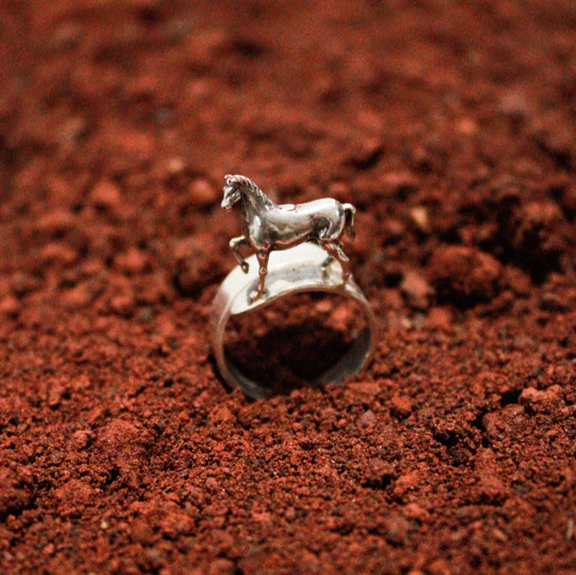 Anillo Caballo Bayo, joya de plata .925 – Gabriela Sánchez
