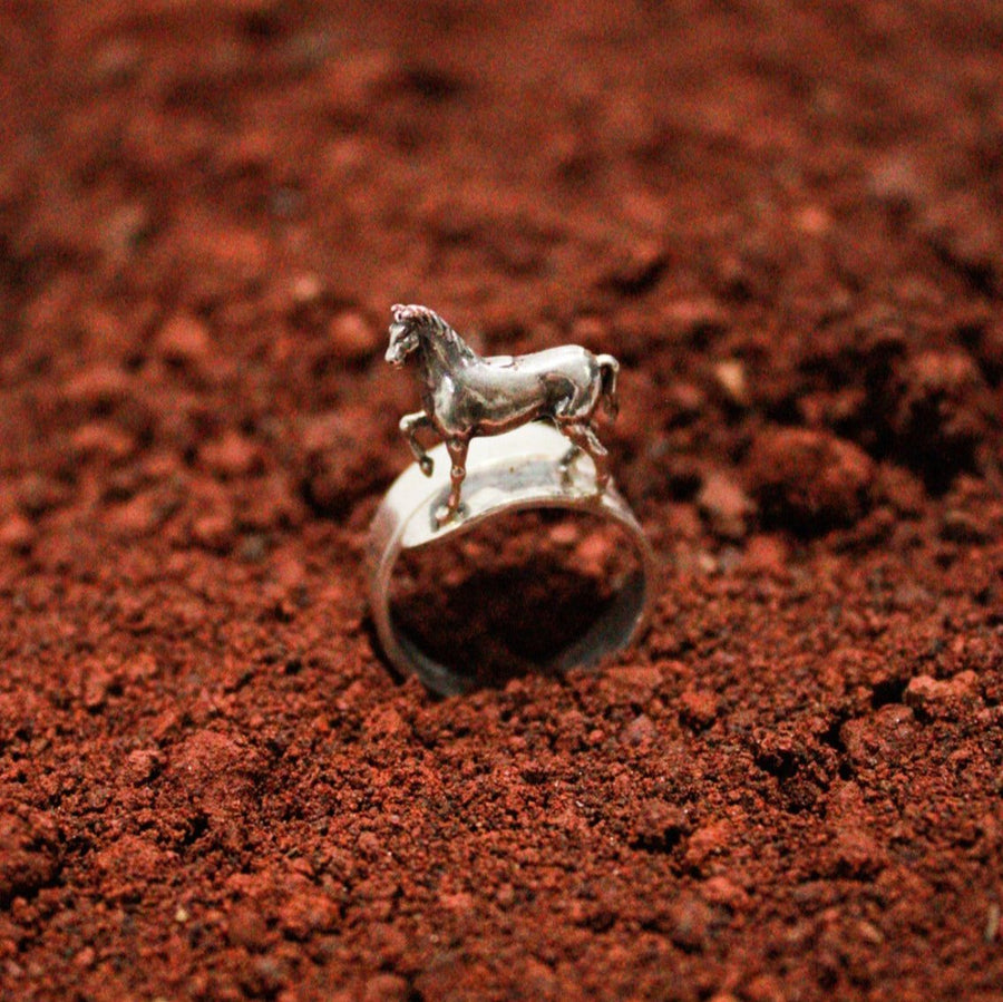 Anillo Caballo Bayo, joya de plata .925 – Gabriela Sánchez