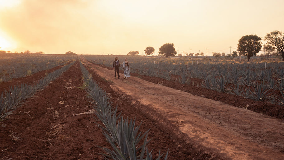 ¡Celebramos 15 Años de Agave Plata!